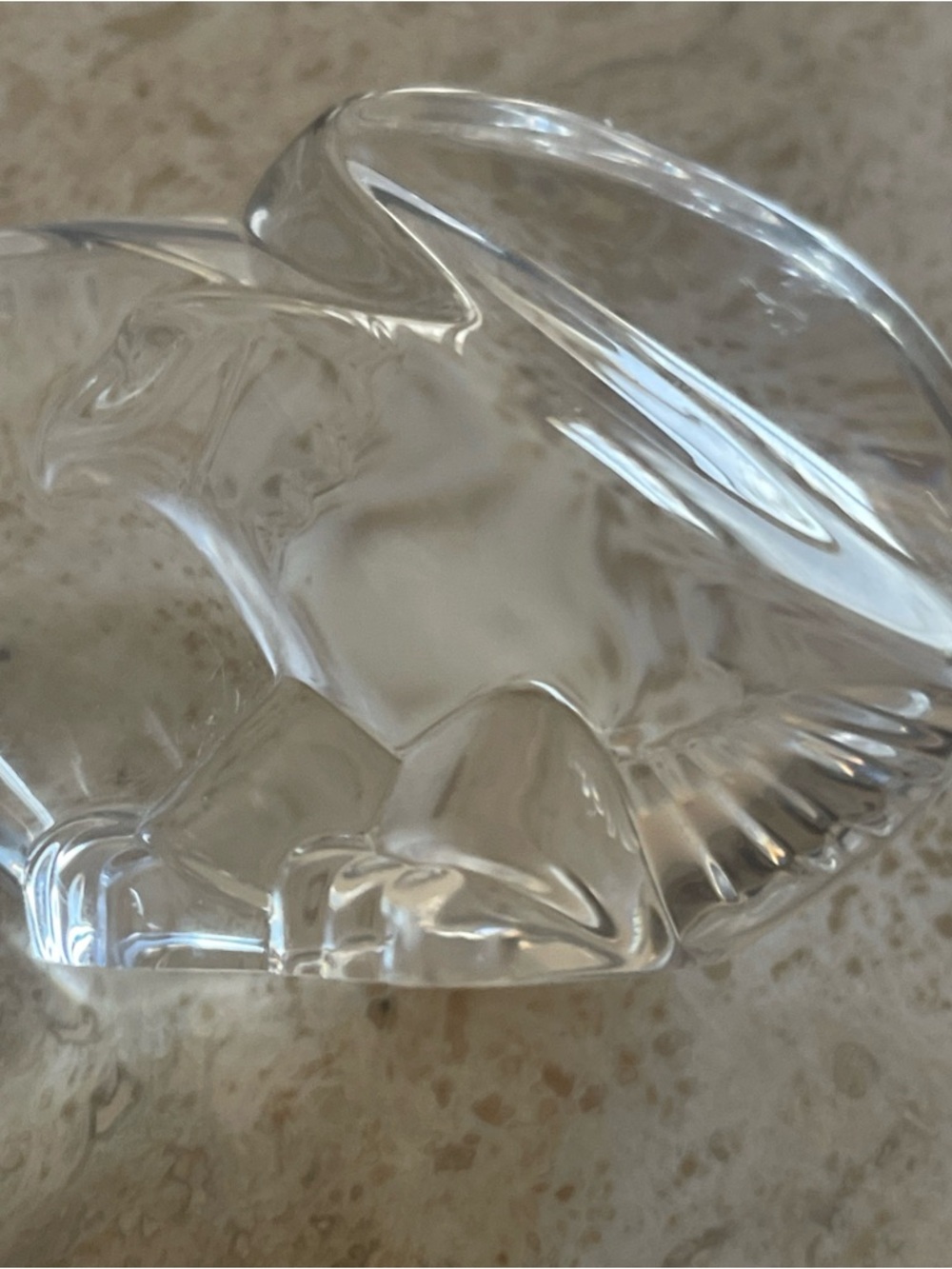 Steuben Eagle Crystal Glass Paperweight Hand Cooler Bird USA Original Box Mint